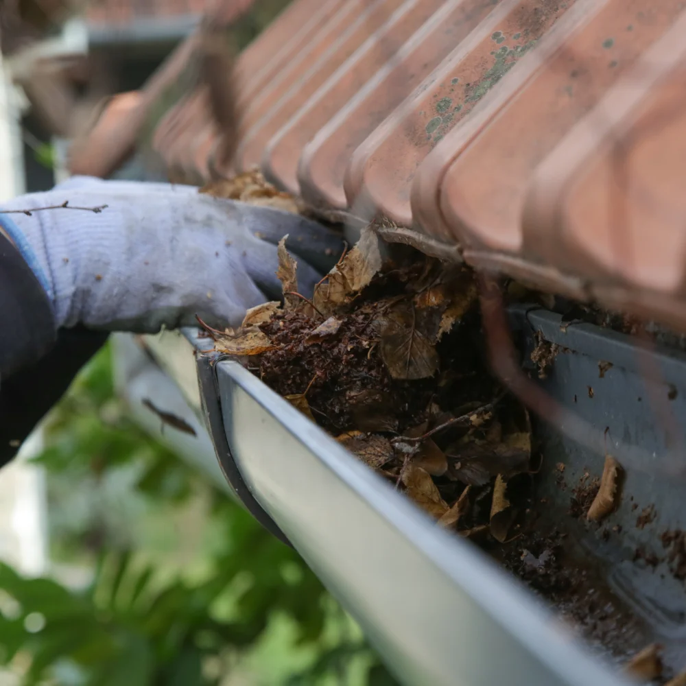 Entfernung von Laub in der Dachrinne für guten Wasserabfluss.