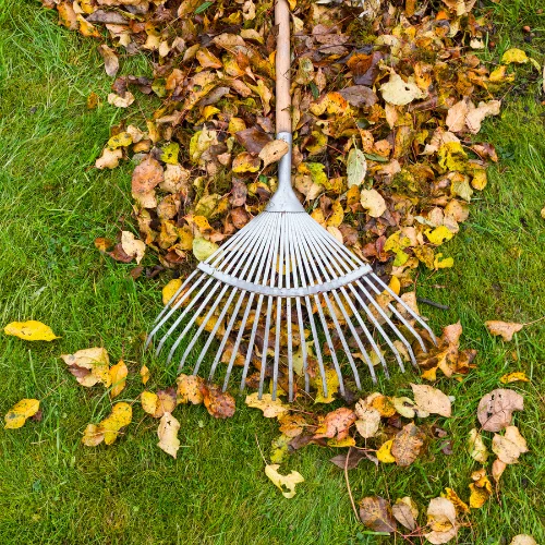 Gründliches Laub wischen im Herbst und Gartenpflege.